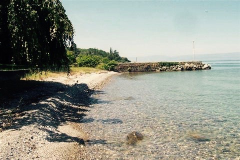 8-5191403-1064184402835728537 (1)