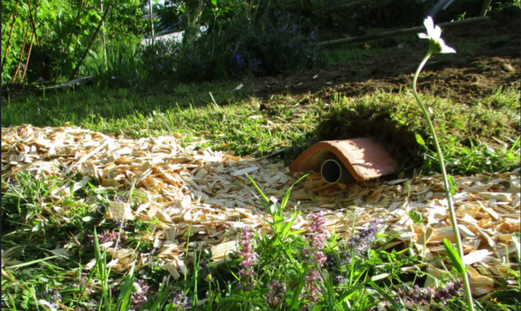 photo d'illustration dans l'herbe d'un jardin. Une canalisation en plastique arrive au niveau d'une tranchée que l'on devine. Elle est remplie de copeaux de bois.